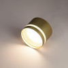 Citilux Hardy CL002C12 Светильник накладной Золото