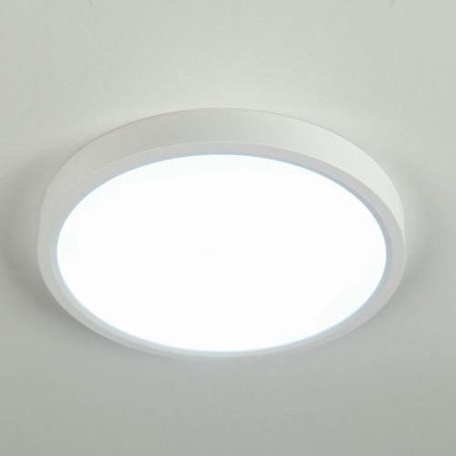 Citilux Бейсик CL738180V Светильник накладной Белый