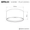 Citilux ROVER CL743150N LED Накладной светильник Белый