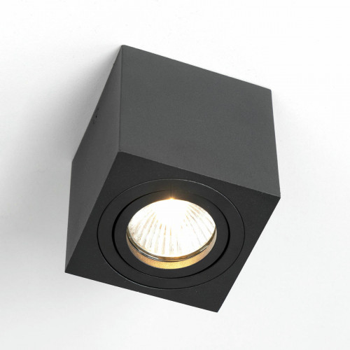 Citilux Дюрен CL538213 Светильник накладной поворотный Чёрный