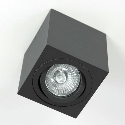 Citilux Дюрен CL538213 Светильник накладной поворотный Чёрный