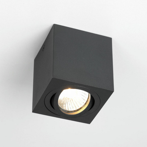 Citilux Дюрен CL538213 Светильник накладной поворотный Чёрный