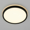 Citilux NORMA CL748241 LED Светильник с подсветкой Чёрный
