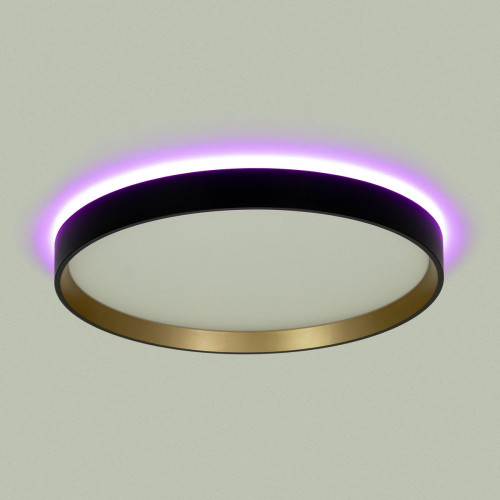 Citilux ETALON CL750321R LED RGB Светильник с пультом Чёрный+Золото