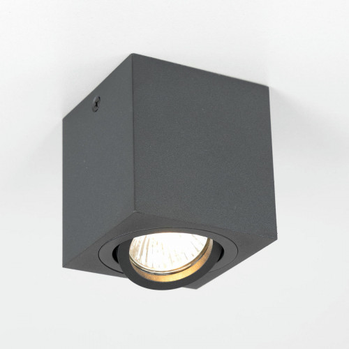 Citilux Дюрен CL538213 Светильник накладной поворотный Чёрный