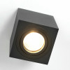 Citilux Дюрен CL538213 Светильник накладной поворотный Чёрный