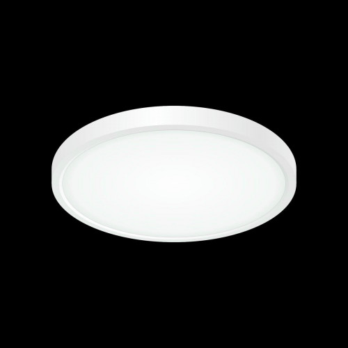 Citilux Бейсик CL738240V Светильник накладной Белый