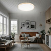Citilux БейсикCL738322V LED Светильник накладной Клён