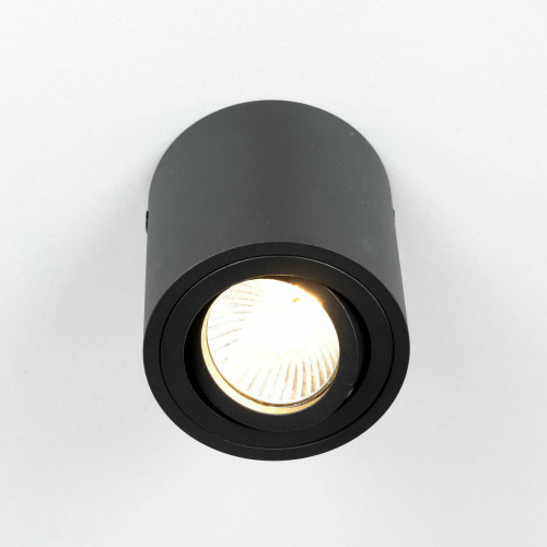 Citilux Дюрен CL538113 Светильник накладной поворотный Черный