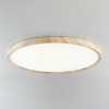Citilux БейсикCL738322V LED Светильник накладной Клён