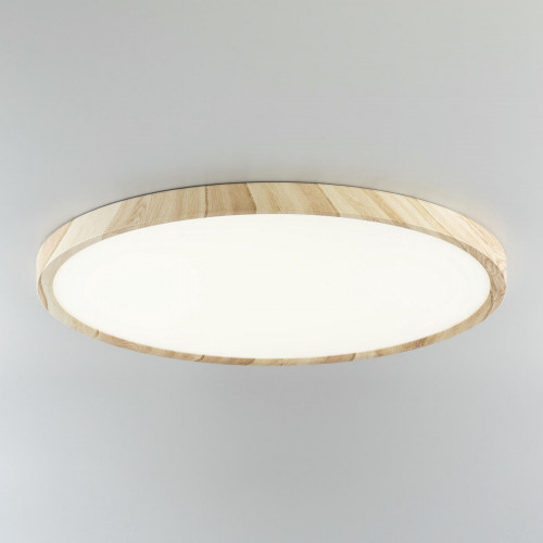 Citilux БейсикCL738322V LED Светильник накладной Клён