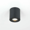 Citilux Дюрен CL538113 Светильник накладной поворотный Черный