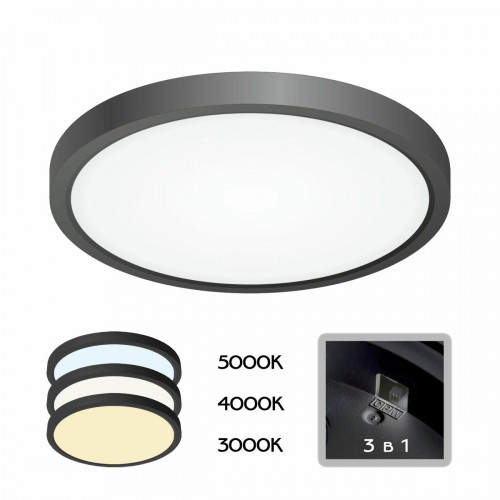 Citilux Бейсик CL738181V Светильник накладной Чёрный