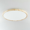 Citilux БейсикCL738322V LED Светильник накладной Клён