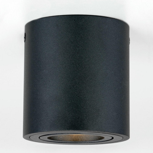 Citilux Дюрен CL538113 Светильник накладной поворотный Черный