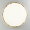 Citilux БейсикCL738322V LED Светильник накладной Клён