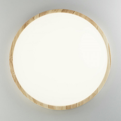 Citilux БейсикCL738322V LED Светильник накладной Клён
