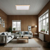 Citilux Бейсик CL738K502V LED Светильник накладной Клён