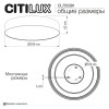 Citilux BART CL755391 LED Светильник потолочный Чёрный