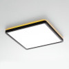 Citilux NORMA CL749K301 RGB Светильник с пультом Чёрный