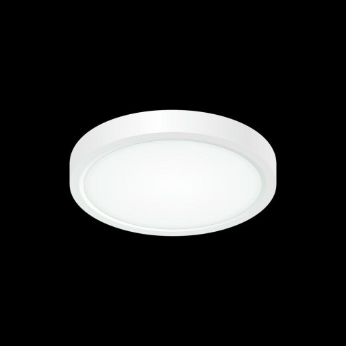 Citilux Бейсик CL738120N Светильник накладной Белый