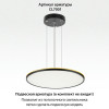 Citilux NORMA CL749601 LED RGB Светильник с пультом Чёрный