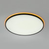 Citilux NORMA CL749601 LED RGB Светильник с пультом Чёрный
