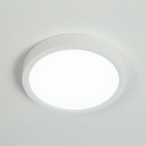 Citilux Бейсик CL738120N Светильник накладной Белый