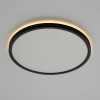 Citilux NORMA CL748321 LED Светильник с подсветкой Чёрный