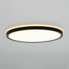 Citilux NORMA CL748321 LED Светильник с подсветкой Чёрный