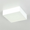 Citilux Тао CL712X120N LED Светильник потолочный с диммером Белый