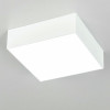 Citilux Тао CL712X120N LED Светильник потолочный с диммером Белый