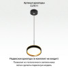 Citilux ETALON CL750181 LED Светильник с подсветкой Чёрный+Золото