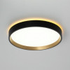 Citilux ETALON CL750241 LED Светильник с подсветкой Чёрный+Золото