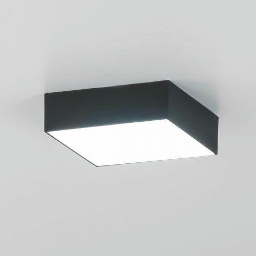 Citilux Тао CL712X122N LED Светильник потолочный с диммером Чёрный