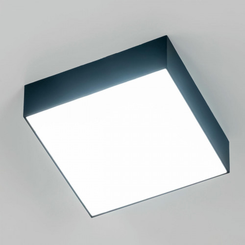 Citilux Тао CL712X122N LED Светильник потолочный с диммером Чёрный