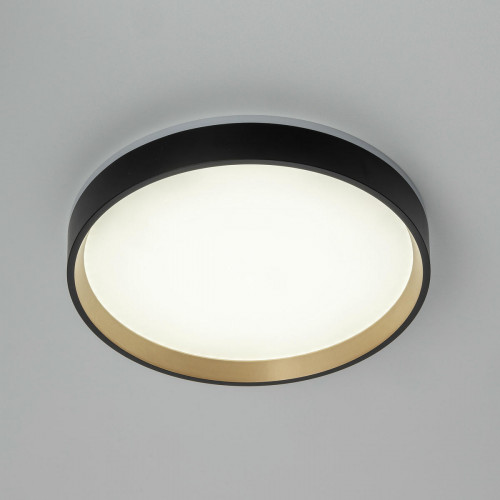 Citilux ETALON CL750241 LED Светильник с подсветкой Чёрный+Золото