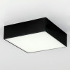 Citilux Тао CL712X122N LED Светильник потолочный с диммером Чёрный