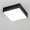 Citilux Тао CL712X122N LED Светильник потолочный с диммером Чёрный