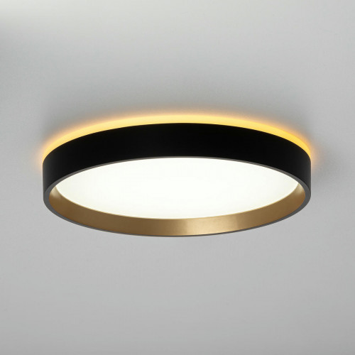 Citilux ETALON CL750241 LED Светильник с подсветкой Чёрный+Золото