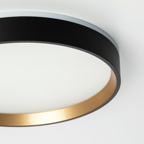 Citilux ETALON CL750241 LED Светильник с подсветкой Чёрный+Золото