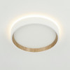 Citilux ETALON CL750180 LED Светильник с подсветкой Белый+Бук