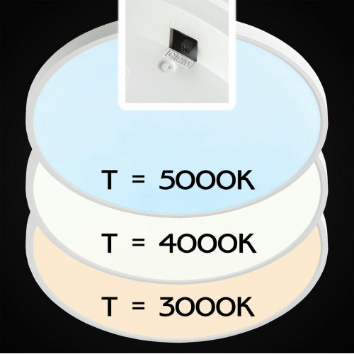 Citilux Бейсик CL738400V Светильник накладной Белый