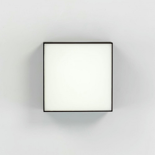 Citilux Тао CL712X122N LED Светильник потолочный с диммером Чёрный