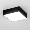 Citilux Тао CL712X122N LED Светильник потолочный с диммером Чёрный