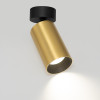 Citilux AXEL CL512212 Накладной поворотный светильник Латунь
