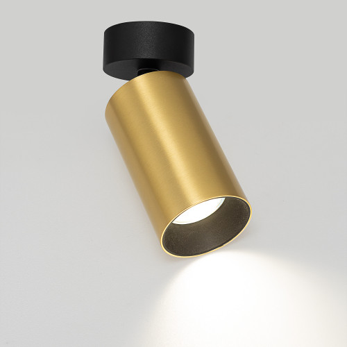 Citilux AXEL CL512212 Накладной поворотный светильник Латунь