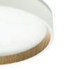 Citilux ETALON CL750240 LED Светильник с подсветкой Белый+Бук