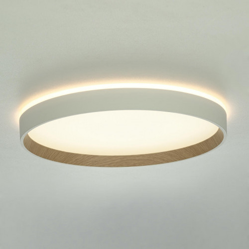 Citilux ETALON CL750320R LED RGB Светильник с пультом Белый+Бук