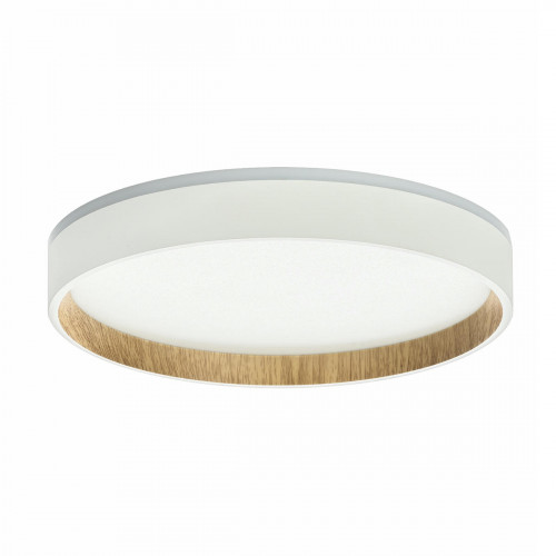Citilux ETALON CL750240 LED Светильник с подсветкой Белый+Бук